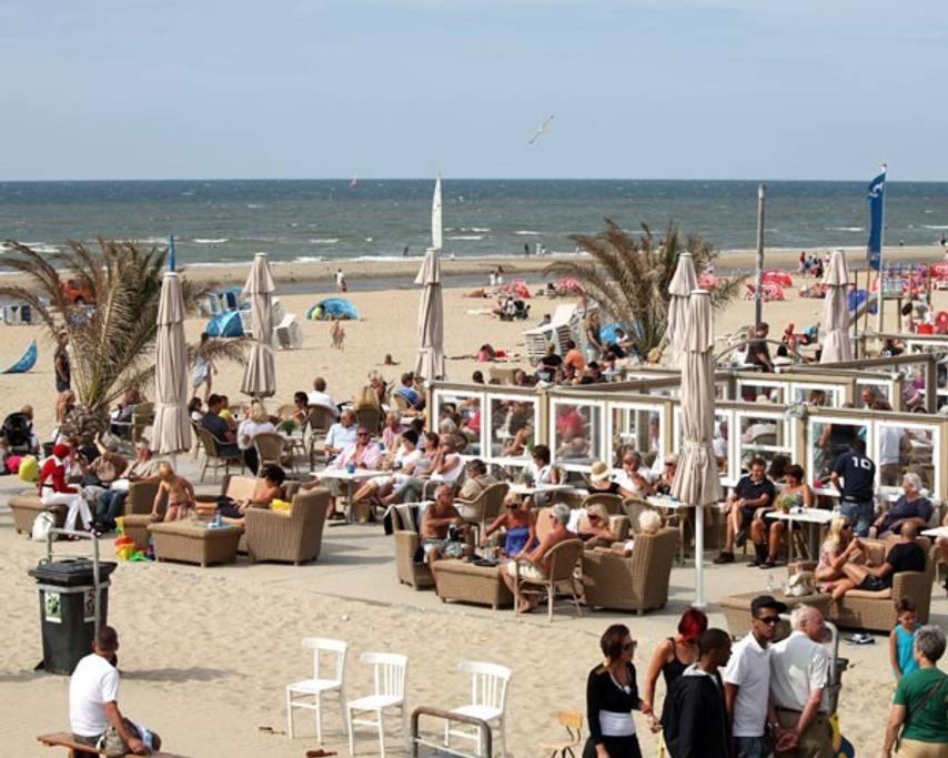 זנדוורט Stella Maris Dune Apartment מראה חיצוני תמונה
